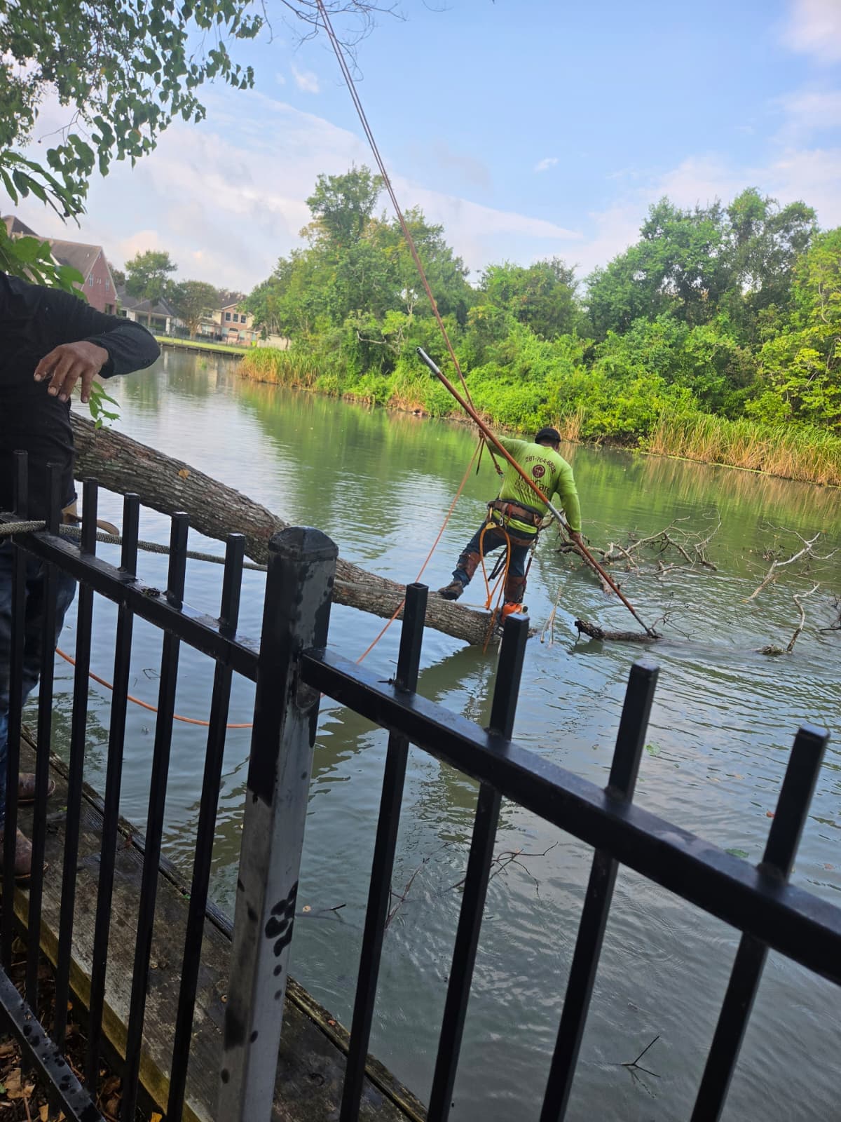Crew removing a storm-fallen tree over water