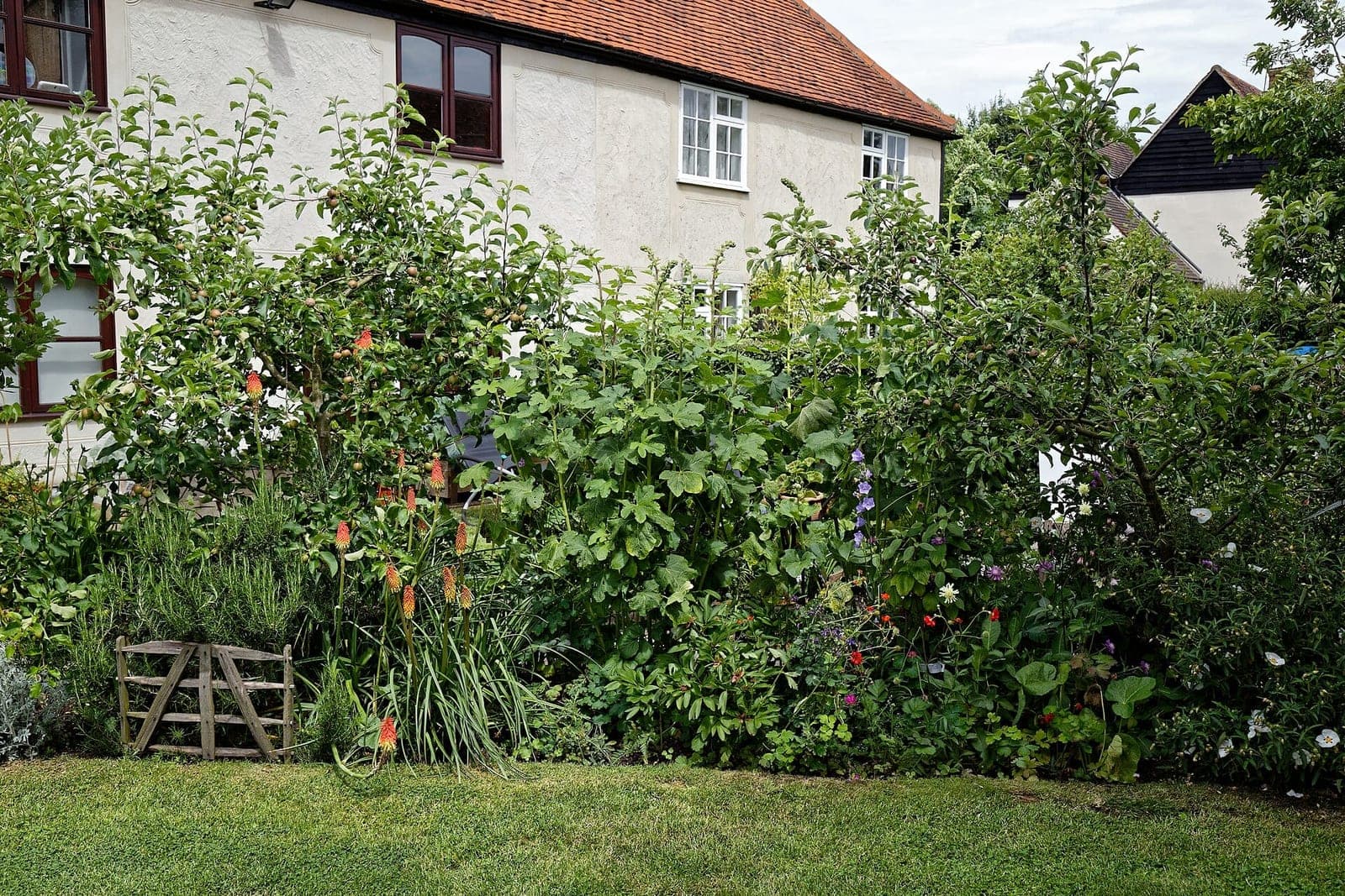 Landscaped garden border with shrubs and flowers along a mown lawn